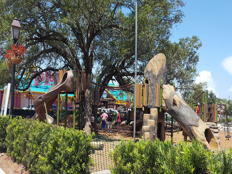 Tree of the Month for April 2021