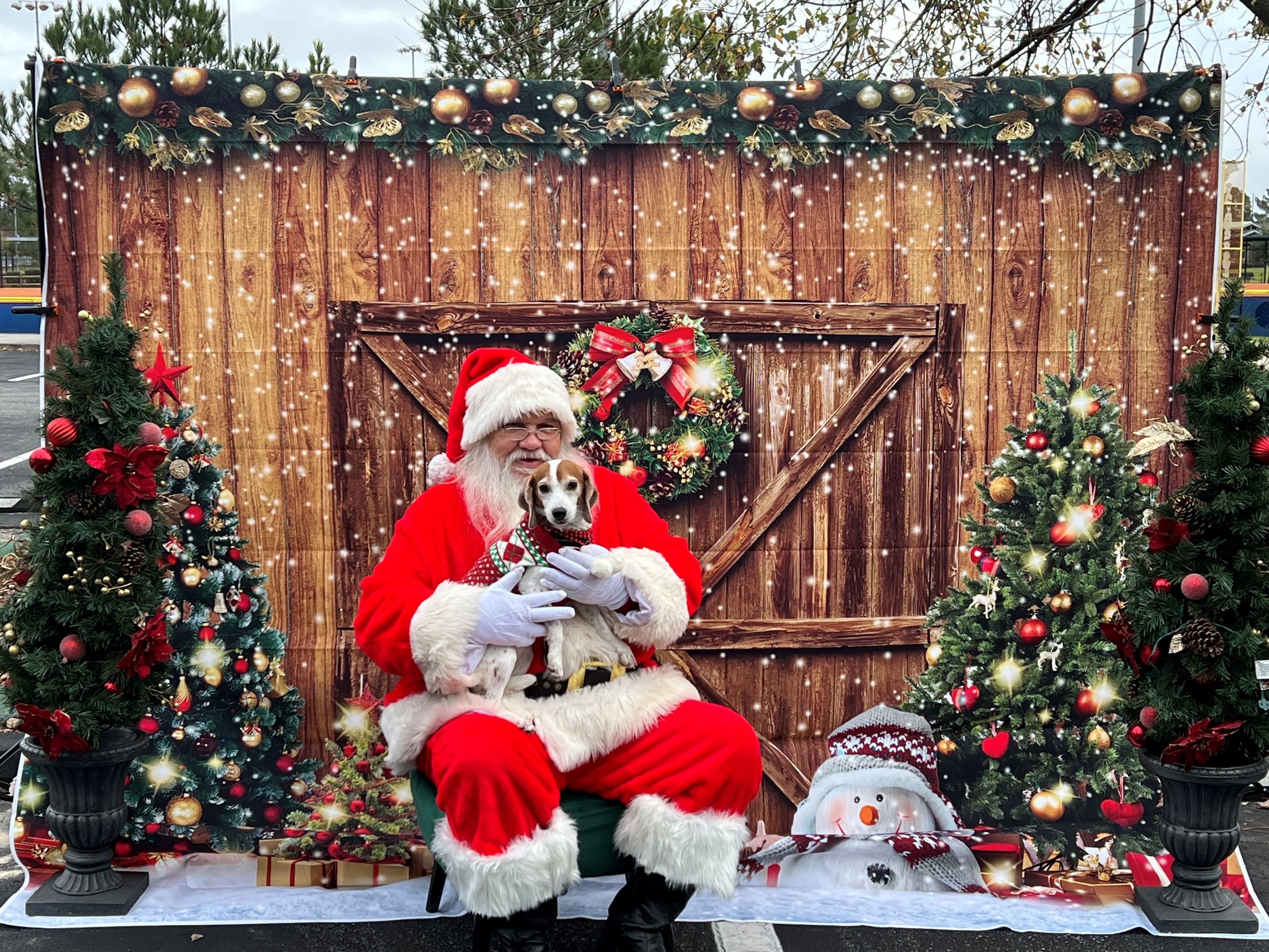 20231126_150719661_iOS