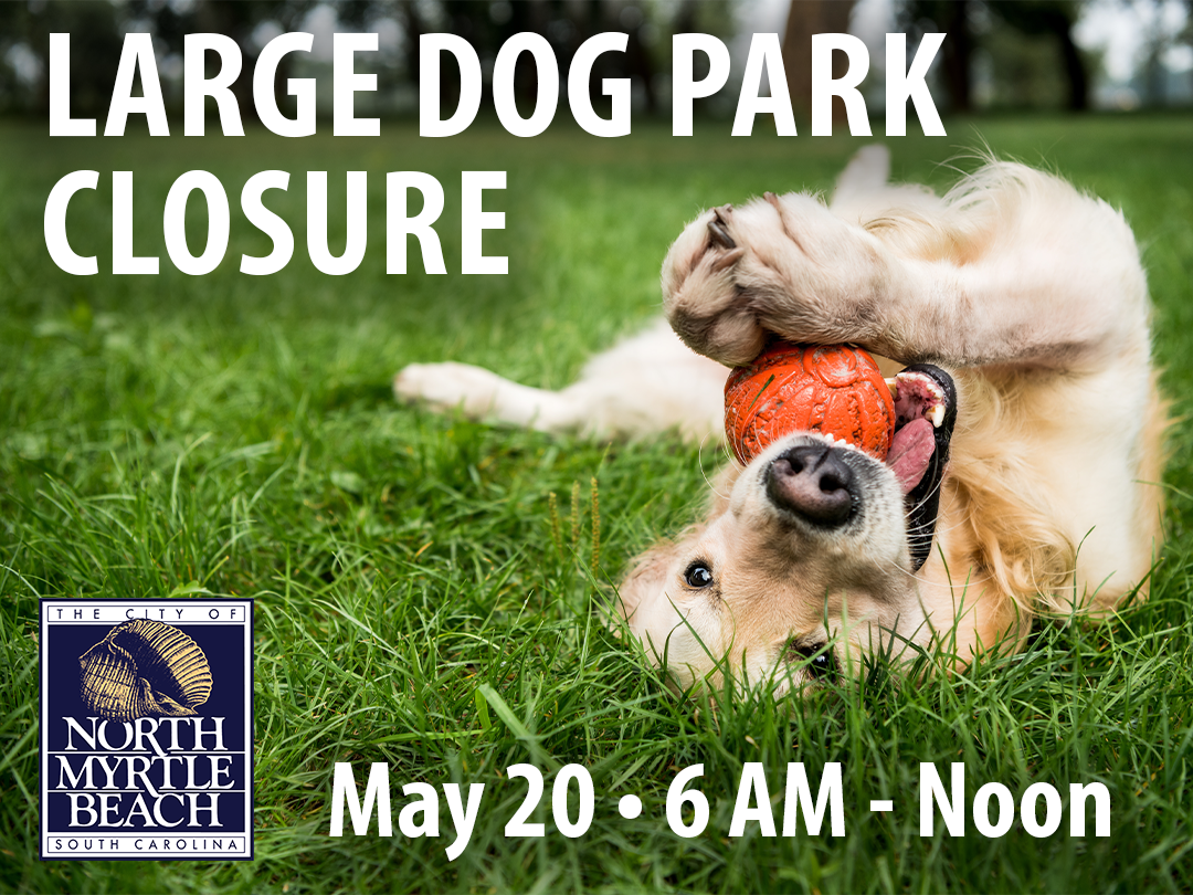Dog Park Closure